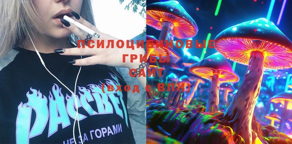 дурь Алексеевка