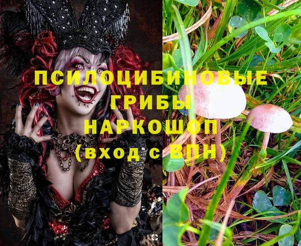 дурь Алексеевка