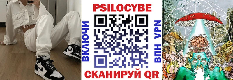 Псилоцибиновые грибы Psilocybe Жуков
