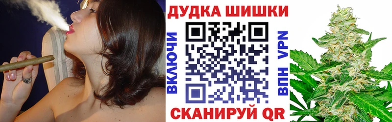 где найти наркотики  Жуков  Канабис ГИДРОПОН 